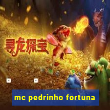 mc pedrinho fortuna